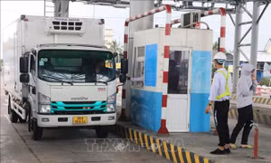 Khẩn trương hoàn thiện Nghị định xử lý vướng mắc dự án BOT giao thông trước ngày 10/3/2026