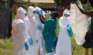 Khoảng 500 ca mắc virus Ebola được xác nhận ở Trung Phi