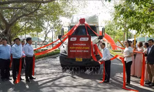 Đồng Tháp: Xuất khẩu củ sen sang Nhật Bản