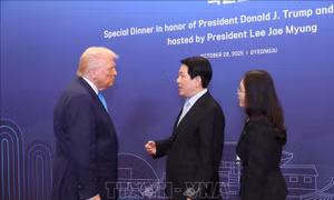 Chủ tịch nước Lương Cường gặp Tổng thống Hoa Kỳ và lãnh đạo cấp cao một số thành viên APEC