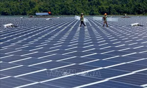 Bộ Công Thương kiến nghị cơ chế đối với các dự án điện gió, điện mặt trời dở dang