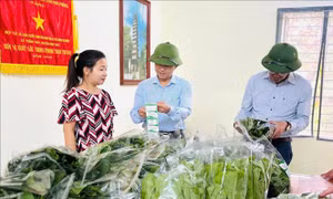 Đồng hành cùng phụ nữ khởi nghiệp trong kỷ nguyên số