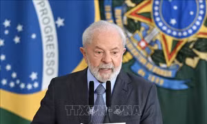 Tổng thống Brazil sẽ thăm cấp Nhà nước tới Việt Nam