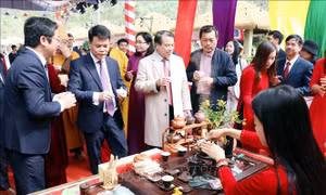 Xúc tiến tiêu thụ, quảng bá sản phẩm ẩm thực, nông sản và OCOP