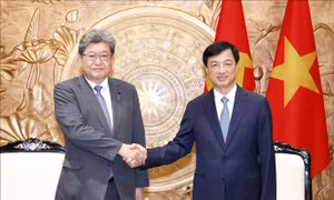 Trưởng Ban Tổ chức Trung ương Nguyễn Duy Ngọc tiếp Quyền Tổng Thư ký Đảng Dân chủ Tự do Nhật Bản Hagiuda Koichi