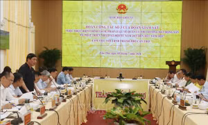 Giám sát thực hiện chính sách, pháp luật về quản lý thị trường bất động sản tại Cần Thơ