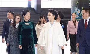 Phu nhân Ngô Phương Ly gặp gỡ, trao đổi với Phu nhân Bành Lệ Viên