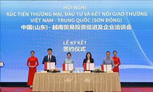 Cơ hội kết nối giao thương cho doanh nghiệp Việt Nam và tỉnh Sơn Đông (Trung Quốc)