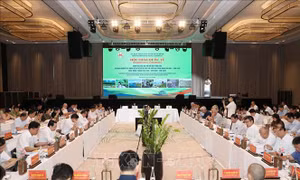 Làm nổi bật giá trị toàn cầu khu Cảnh quan văn hóa - sinh thái Voọc mông trắng