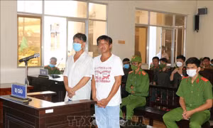 Xét xử phúc thẩm vụ 5 người cùng gia đình chặn đường, gây rối trên Quốc lộ 1A