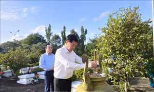 Đoàn công tác Ủy ban Kiểm tra Trung ương tri ân các anh hùng liệt sỹ