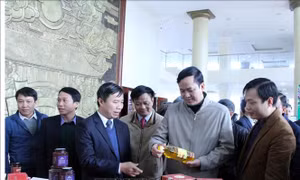Liên kết phát triển du lịch nông thôn với tiêu thụ sản phẩm OCOP