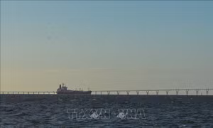 Giới chức Mỹ và Venezuela bàn cách ổn định thị trường năng lượng