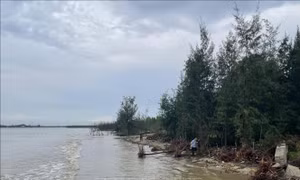 Thanh Hóa: Sớm công bố tình huống khẩn cấp sạt lở, xâm thực bờ biển tại Hoằng Hóa