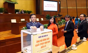 Phân bổ 3 đợt với tổng kinh phí 428 tỷ đồng hỗ trợ đồng bào bị ảnh hưởng bởi mưa lũ