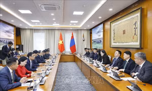 Chủ tịch Quốc hội Trần Thanh Mẫn tiếp Chủ tịch Nhóm Nghị sĩ hữu nghị Mông Cổ - Việt Nam