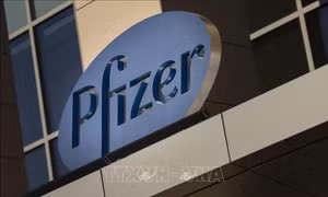 Pfizer thử nghiệm lâm sàng vaccine mRNA phòng cúm mùa