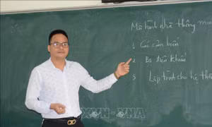Giảng viên trẻ miệt mài góp sức chuyển đổi số