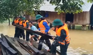 Hầu hết các phụ tải bị gián đoạn do bão số 1 đã được khôi phục cấp điện