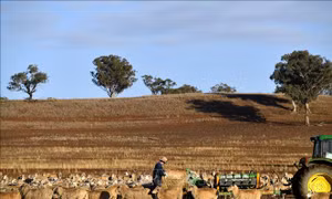 Australia xác nhận hiện tượng El Nino bắt đầu hình thành trên Thái Bình Dương