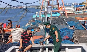 Bà Rịa - Vũng Tàu xử lý dứt điểm các tàu cá mất kết nối ngoài khơi