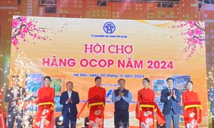 Khai mạc Festival nông sản, sản phẩm OCOP Hà Nội lần 3