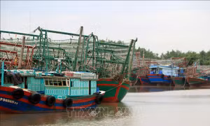 Xử lý nghiêm các hành vi sử dụng xung điện, chất độc, chất nổ khai thác thủy sản