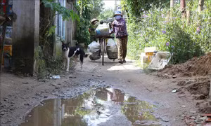 Thông tin dừng dự án Công viên cây xanh Thạch Bích là không chính xác