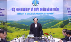 Phó Thủ tướng Trần Lưu Quang làm việc với Bộ Nông nghiệp và Phát triển nông thôn