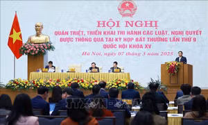 Quyết tâm giải quyết dứt điểm tình trạng chậm ban hành văn bản quy định chi tiết các luật, nghị quyết