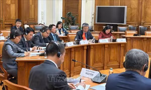 Phó Thủ tướng Chính phủ Hồ Đức Phớc thăm và làm việc tại Liên bang Nga