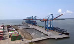 Cảng biển TP Hồ Chí Minh tiến nhanh lộ trình 'xanh hóa'