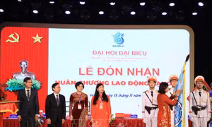Nâng cao hiệu quả các hoạt động hòa bình, hữu nghị và hợp tác quốc tế