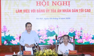 Chủ tịch Quốc hội: Nâng cao chất lượng, hiệu quả hoạt động xét xử của Tòa án các cấp