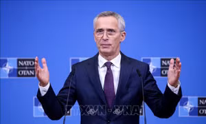 NATO tái khẳng định sẽ kết nạp Ukraine