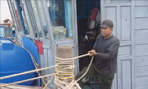 Thanh Hóa: Kêu gọi tàu thuyền về nơi tránh trú bão, bảo đảm an toàn đê điều