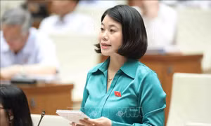 Điều chỉnh những vấn đề không còn phù hợp trong đào tạo, sát hạch lái xe