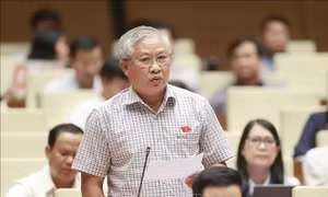 Hoàn thiện đường gom, đường dân sinh, trạm dừng nghỉ trên các tuyến cao tốc