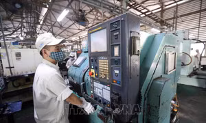 Quy định về chuyển đổi công ty nhà nước thành công ty TNHH một thành viên