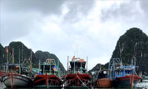 Thủ tướng Chính phủ yêu cầu chủ động ứng phó bão YINXING