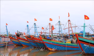 Ứng phó với bão USAGI gần Biển Đông