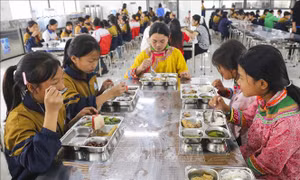 Chính sách hỗ trợ tiền ăn, gạo, đồ dùng cá nhân cho học sinh trường phổ thông nội trú