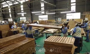 Nhiều giải pháp tạo việc làm cho lao động miền núi, nông thôn