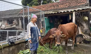 Hỗ trợ đa chiều để giảm nghèo bền vững