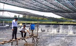 Giải pháp giảm nghèo bền vững cho người dân vùng khó