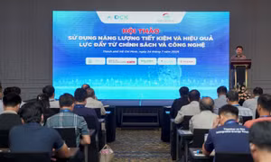 Từ mua điện tái tạo đến chiến lược năng lượng dài hạn