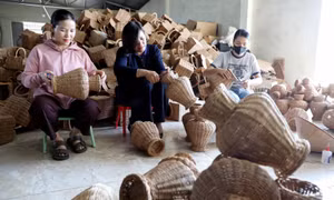 Phụ nữ Hưng Yên thoát nghèo bền vững nhờ da dạng sinh kế