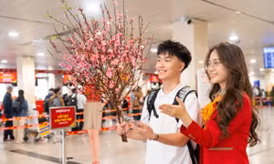 Vietjet mở bán 3,1 triệu vé Tết Đinh Mùi 2027, thêm lựa chọn cho hành trình đoàn viên