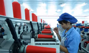 Số lượng đơn vị khu vực kinh tế tăng nhanh hơn khu vực hành chính sự nghiệp