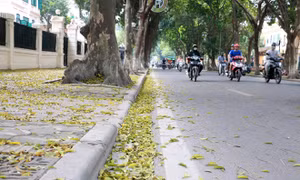 Thời tiết ngày 13/4 : Bắc bộ mưa rào và dông, Trung bộ nắng nóng diện rộng trở lại